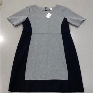 Short sleeve stretch dress